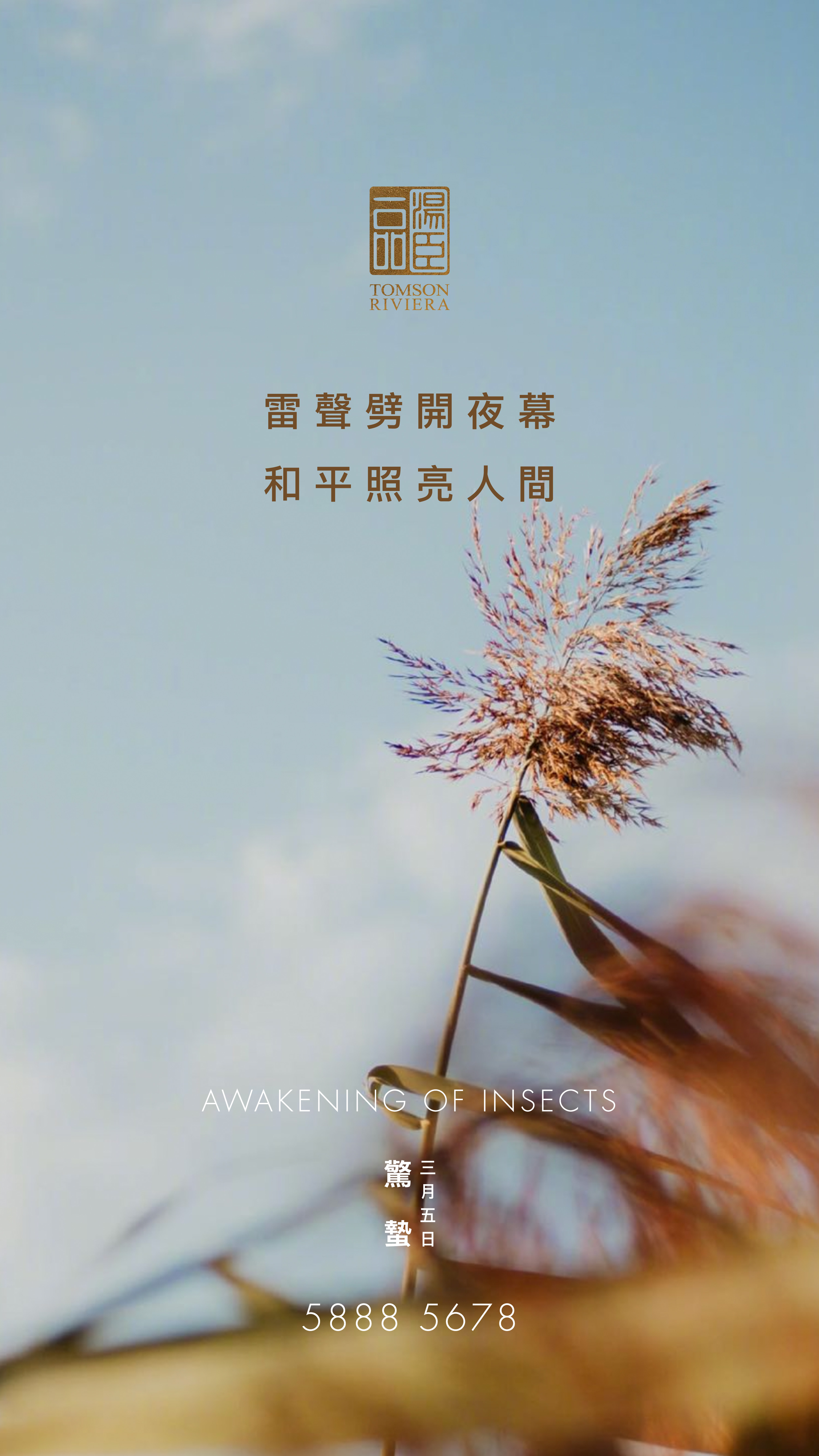 Awakening of Insects